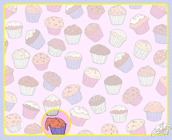 چند معمای تصویری برای آنهایی که توجه و دقت زیادی دارند